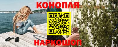 дживик Моздок