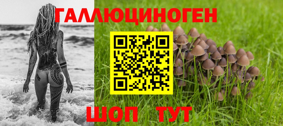 Трёхгорный  Галлюциногенные грибы мухоморы  Вход с VPN 